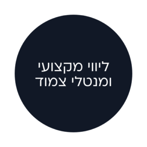 ליווי מקצועי ומנטלי צמוד